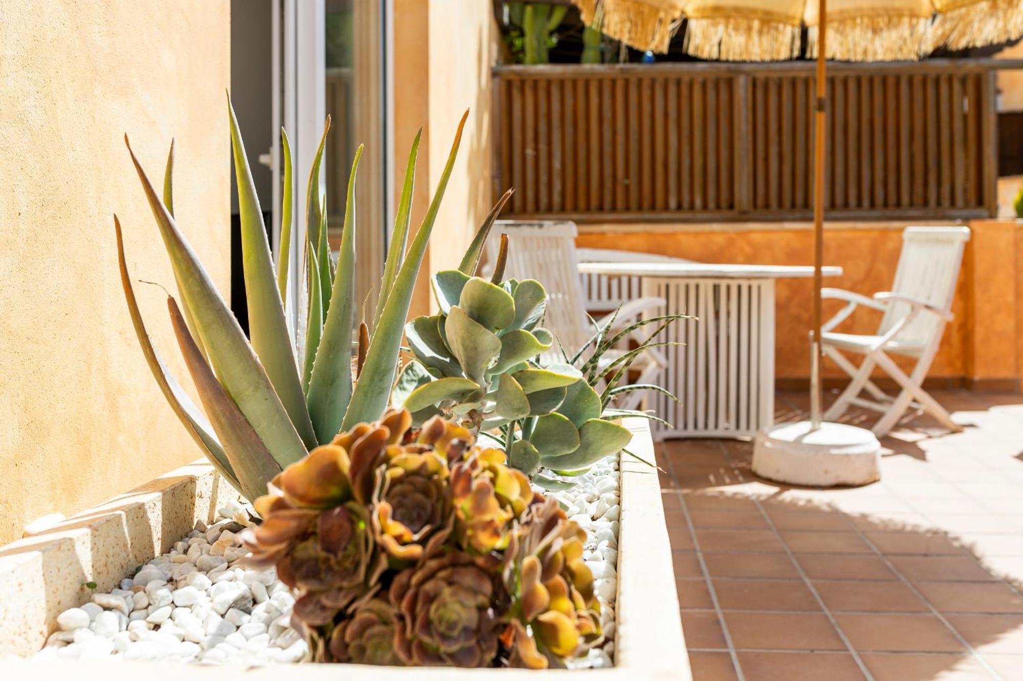 Palm Beach House Corralejo Eksteriør billede